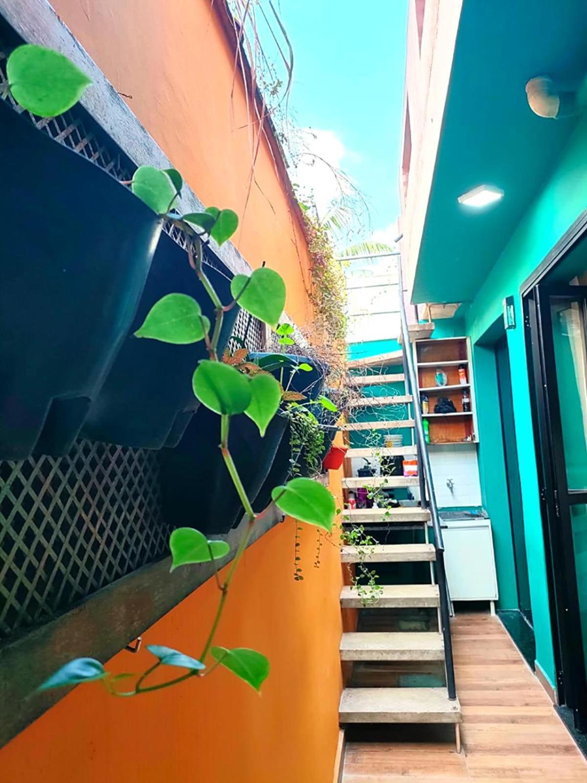 Casa 373 - Hospedaria Vila Mariana - Valores Acessiveis Сао Паоло Екстериор снимка